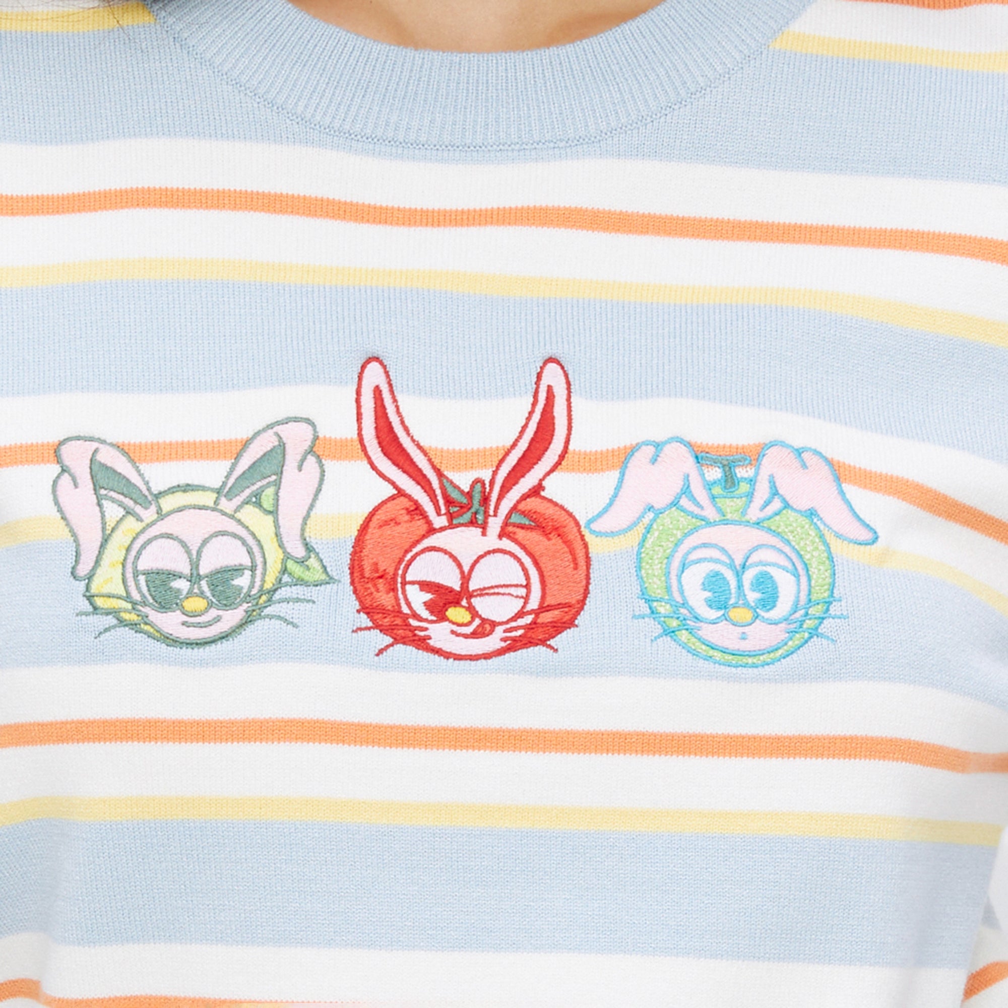 Embroidery Stripe Knit Top
