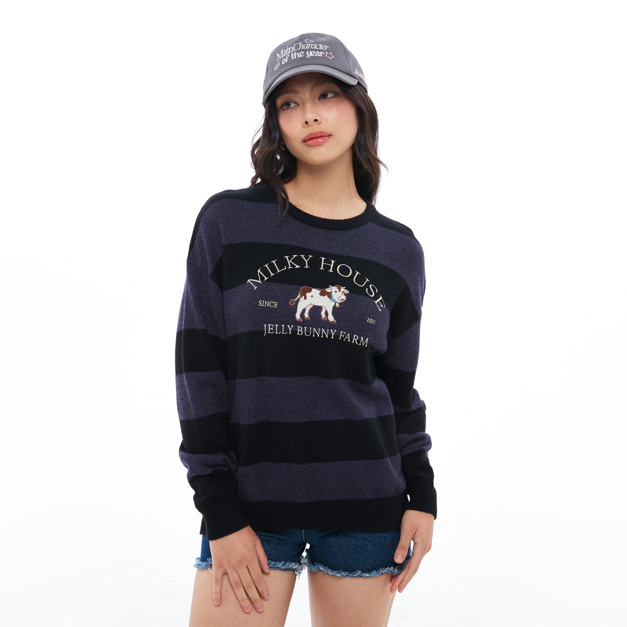 Stripe Embroidery Pullover Multi Color