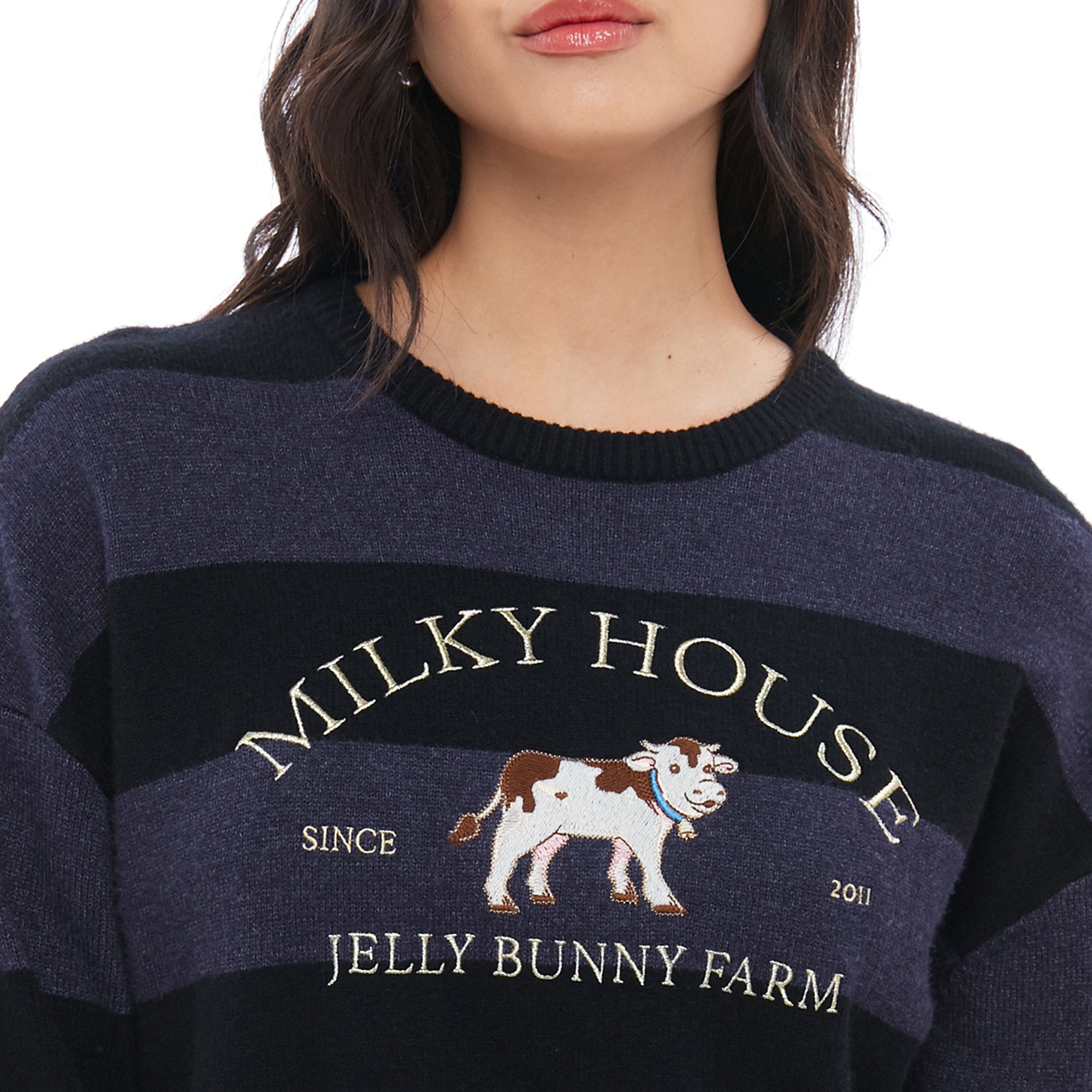 Stripe Embroidery Pullover Multi Color
