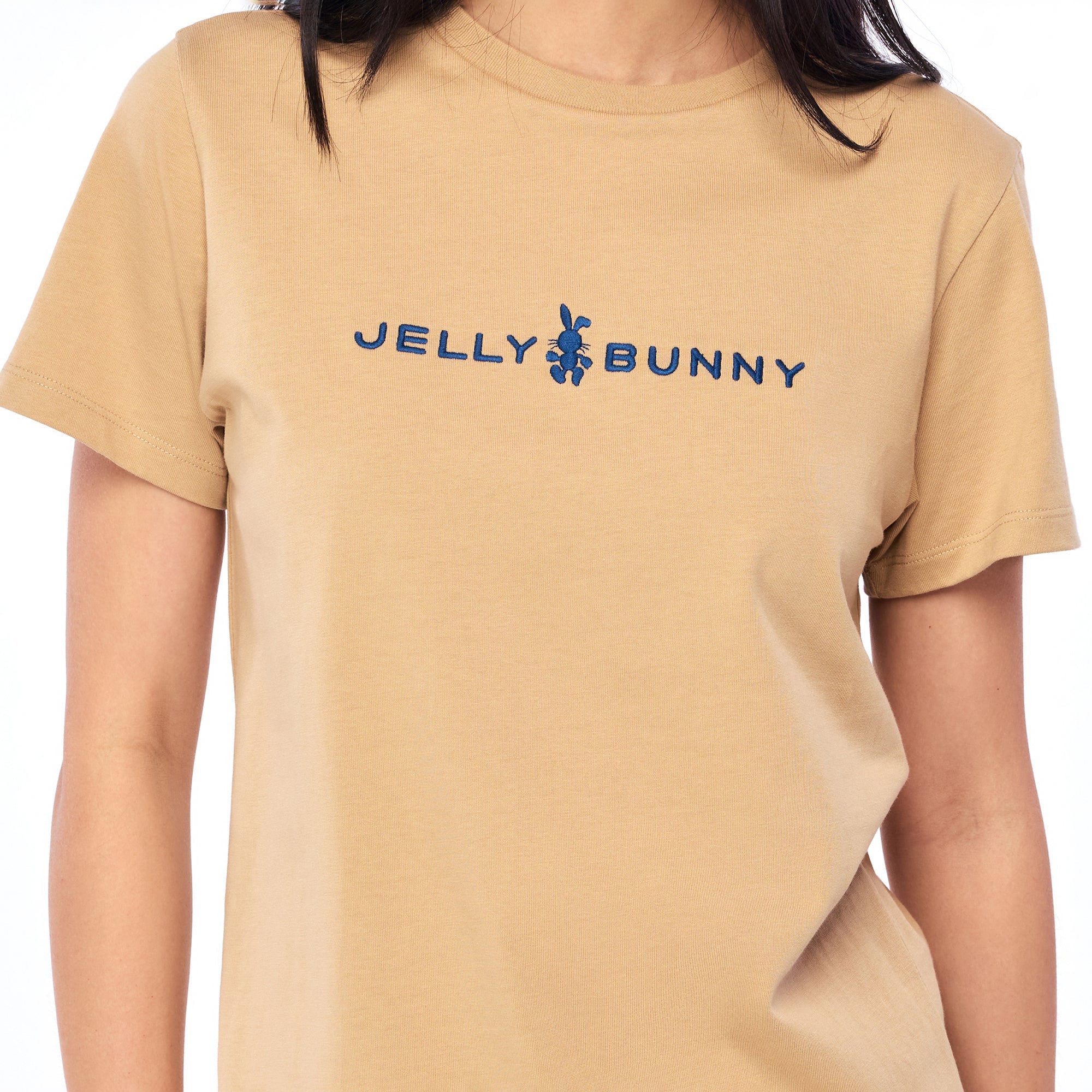 Logo Regular Fit T-Shirt Brown