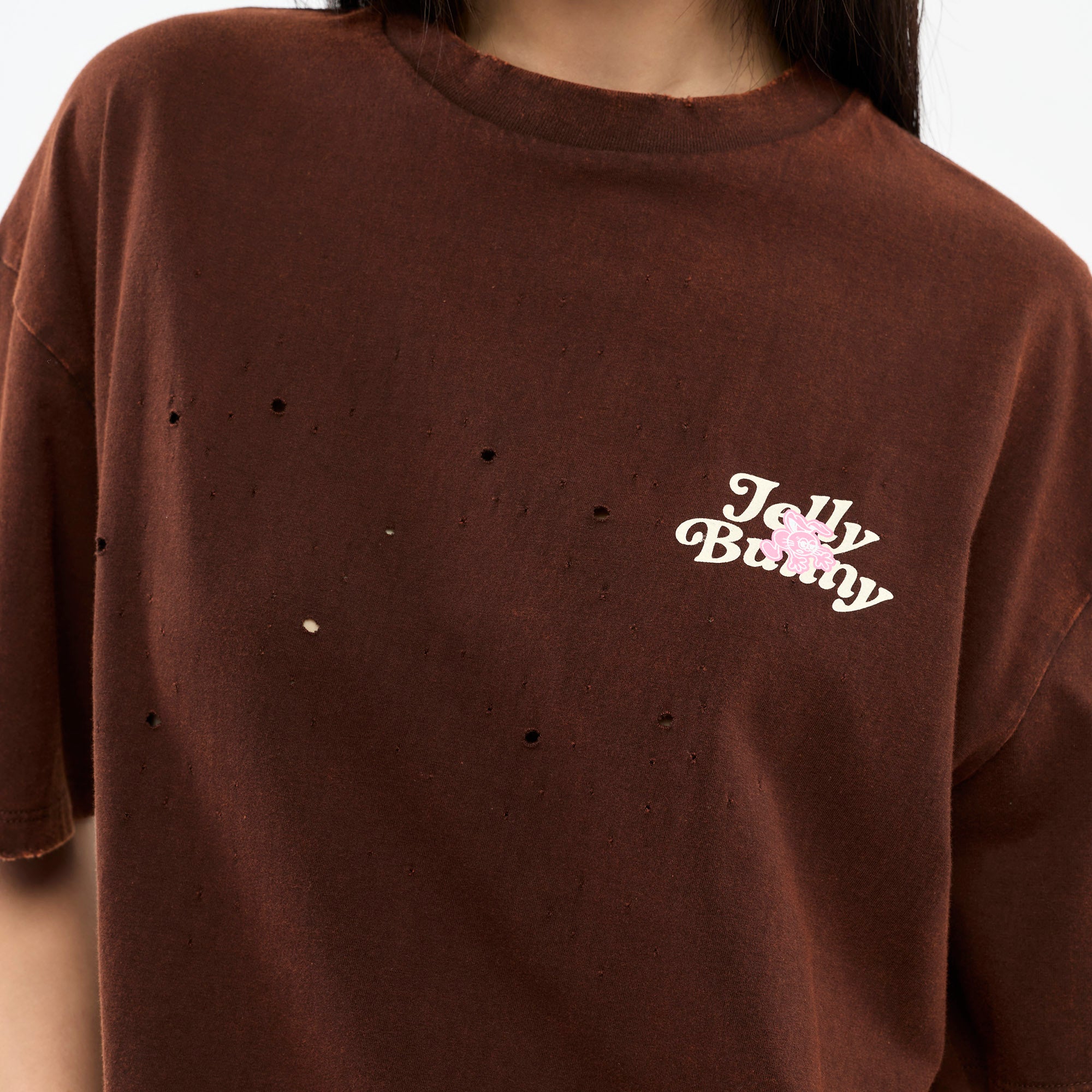 Distressed Embroidered T-Shirt Brown