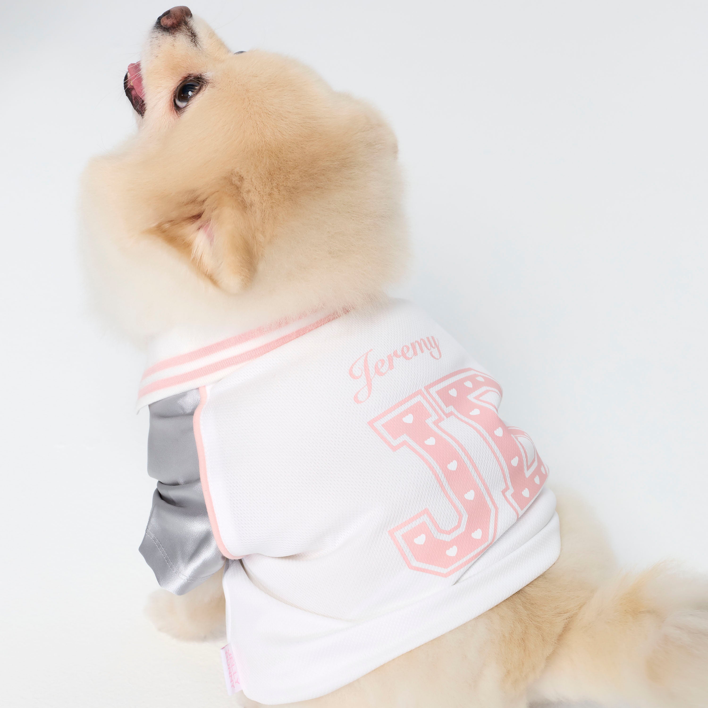 Jeremy Sport Striped Collar T-Shirt For Pets White