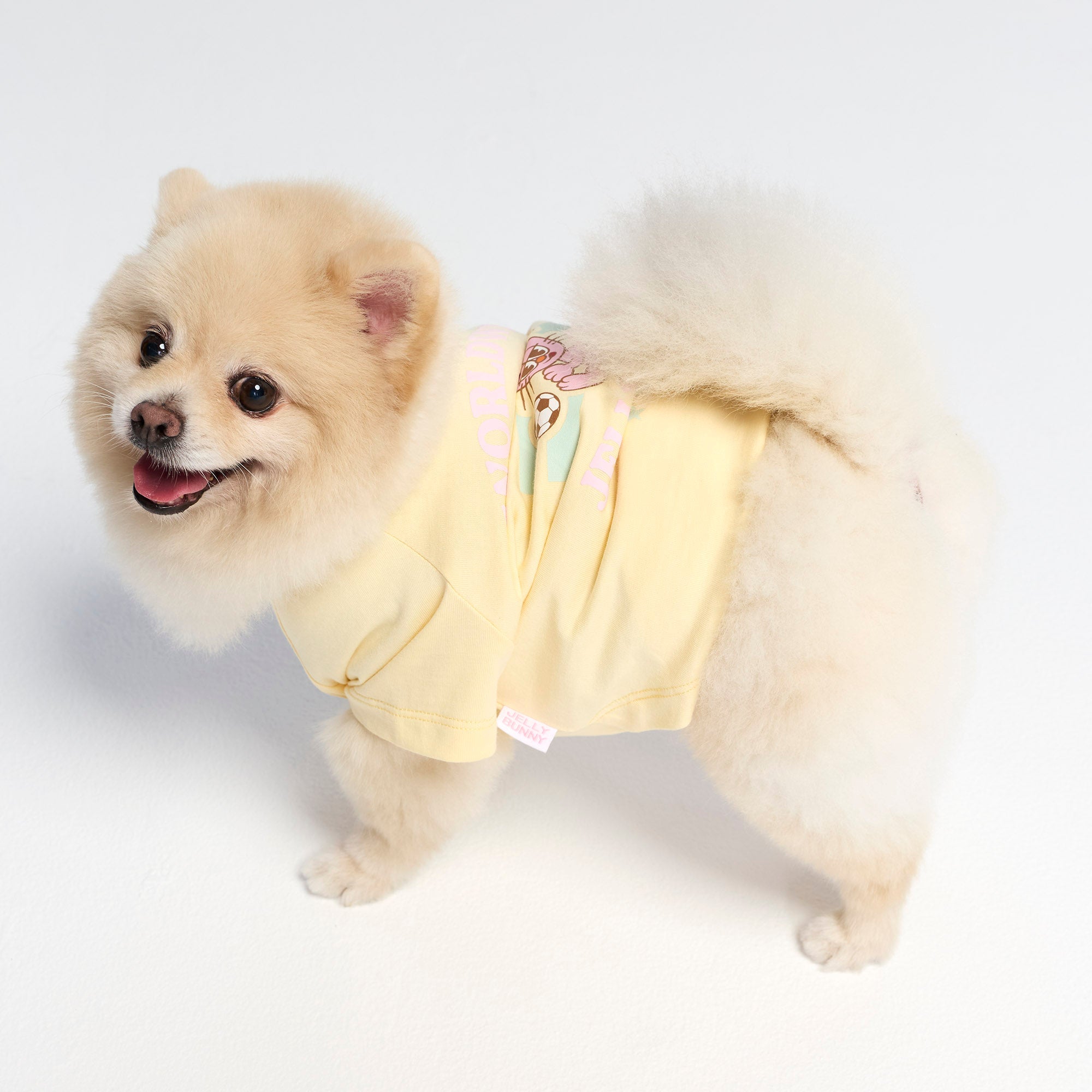 เสื้อยืดลายกราฟิกกระต่าย สำหรับสัตว์เลี้ยง Cream