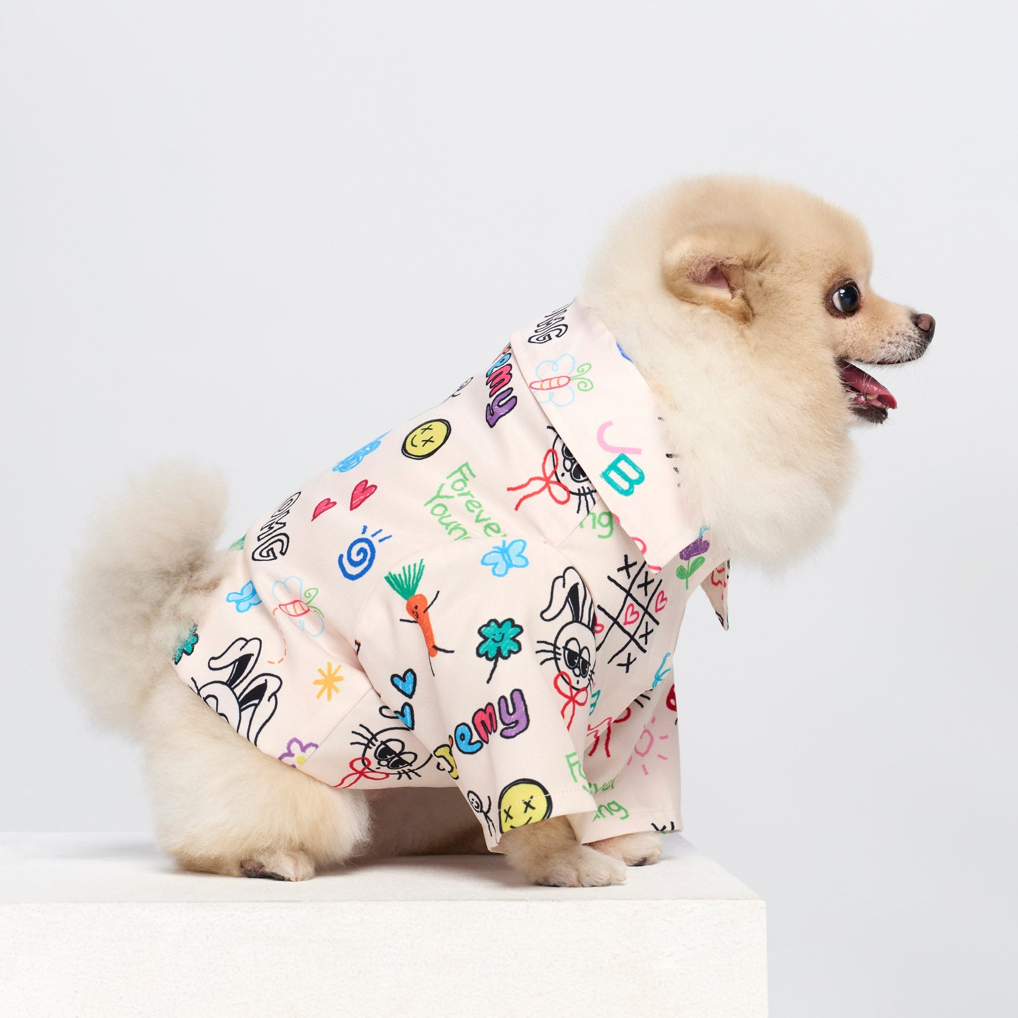 เสื้อเชิ้ตลายพิมพ์ Jeremy สำหรับสัตว์เลี้ยง Multi Color