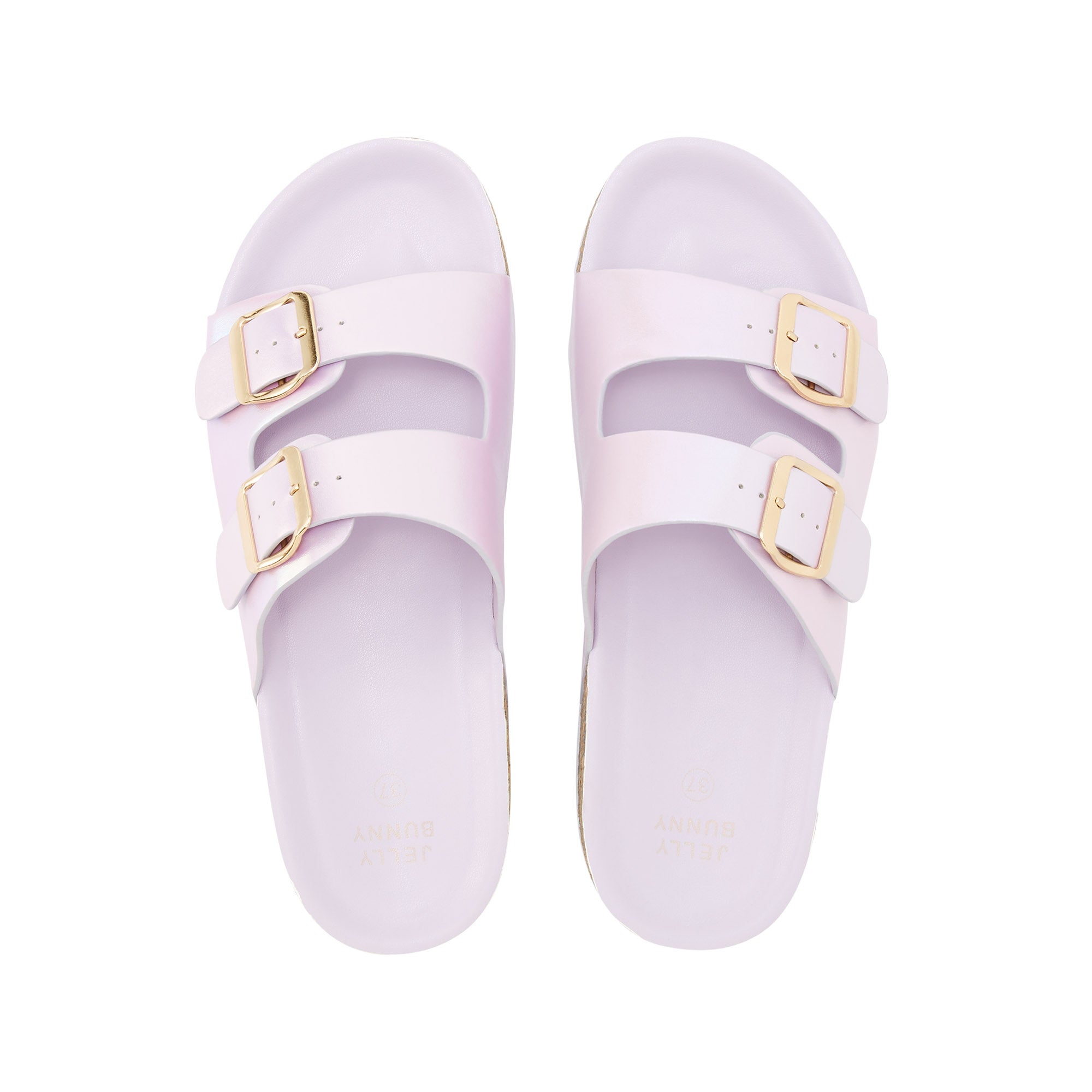 Raphael Flat Sandals Purple