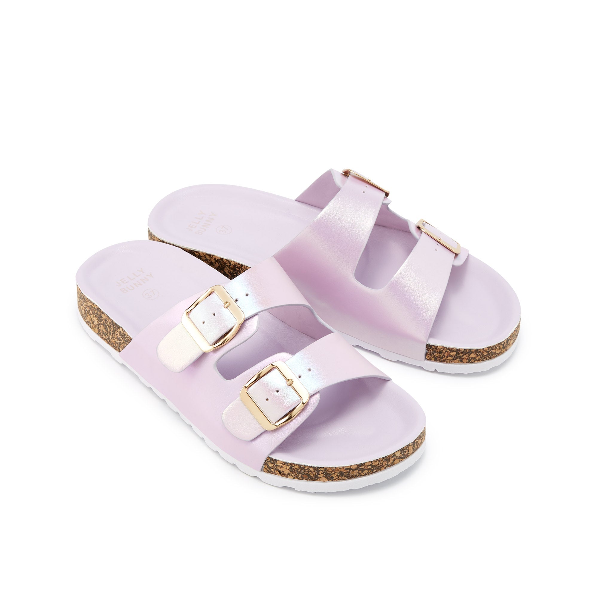 Raphael Flat Sandals Purple