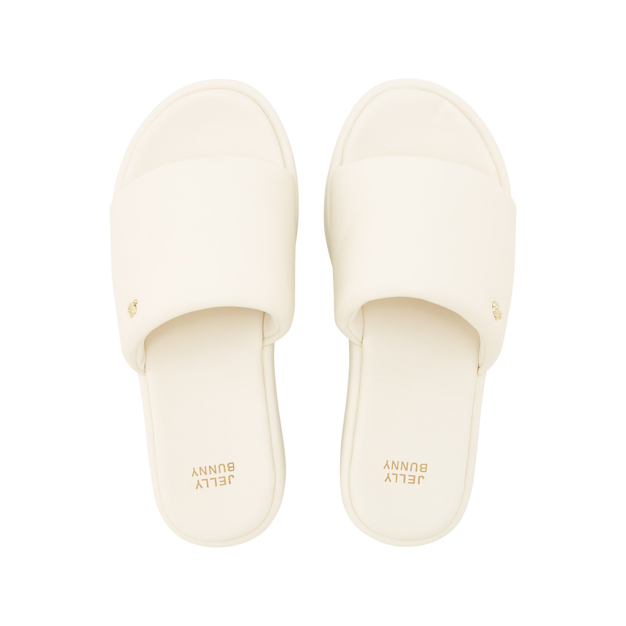 Thaniel Platform Slides White