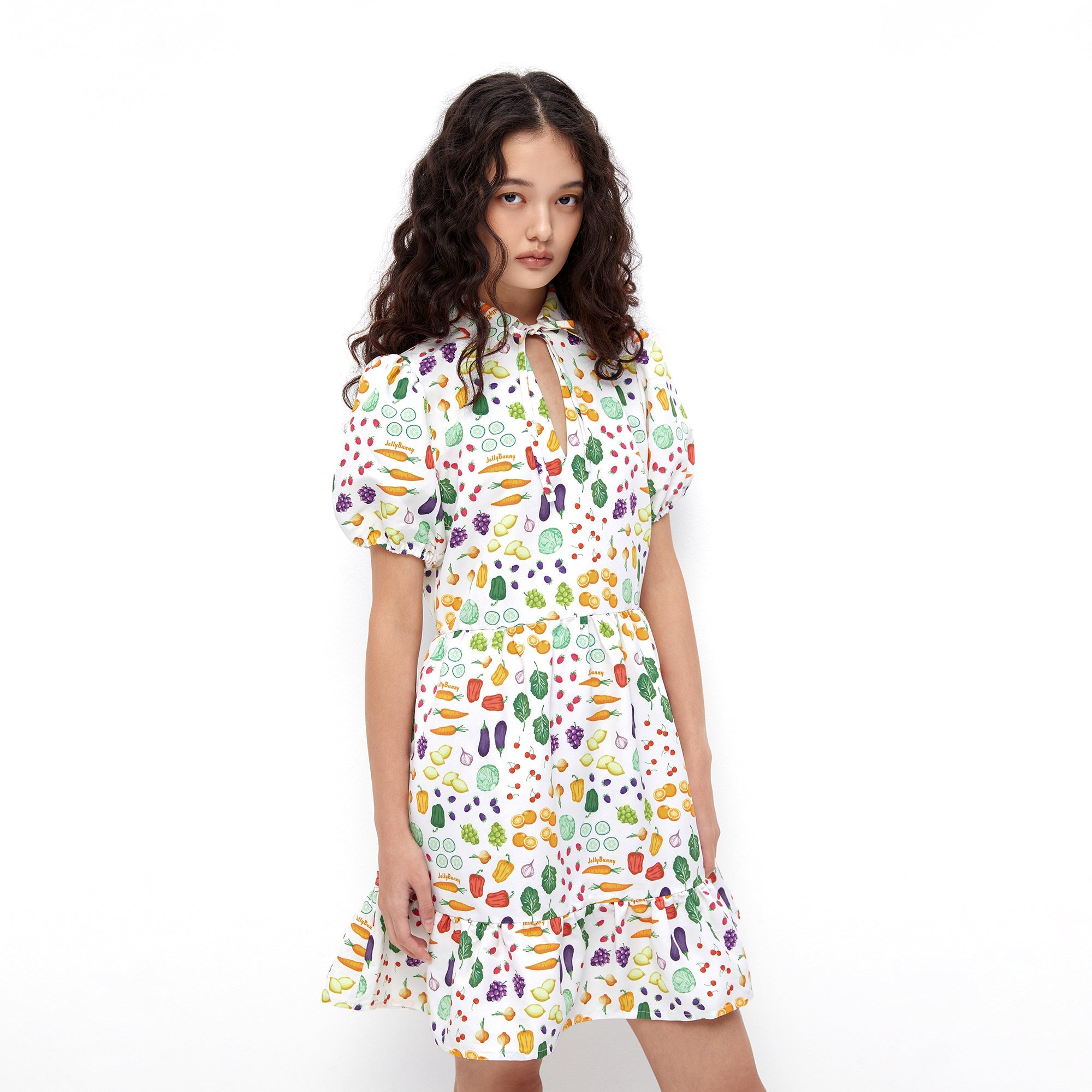 Garden Feast Puff Sleeve Mini Dress Multi Color