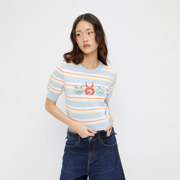 Embroidery Stripe Knit Top