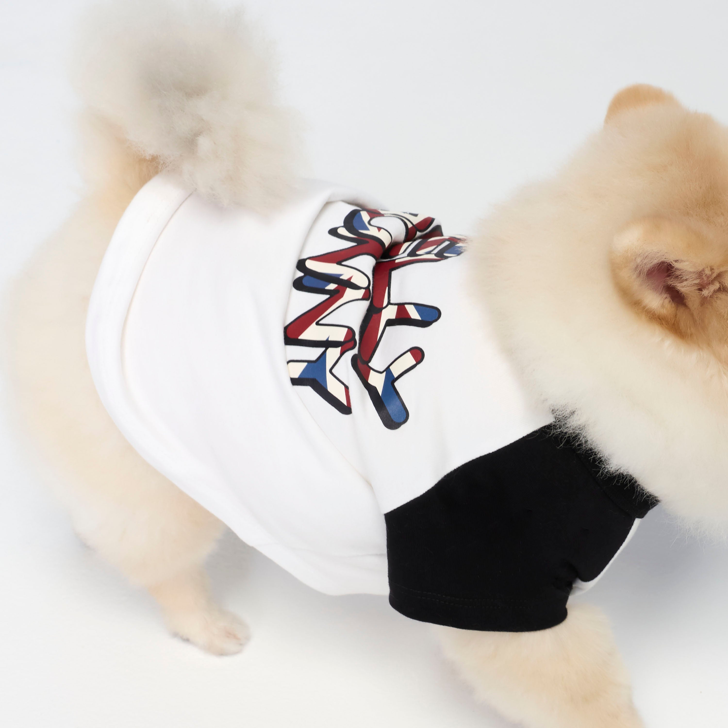 Jeremy Contrast Sleeve T-Shirt For Pets White