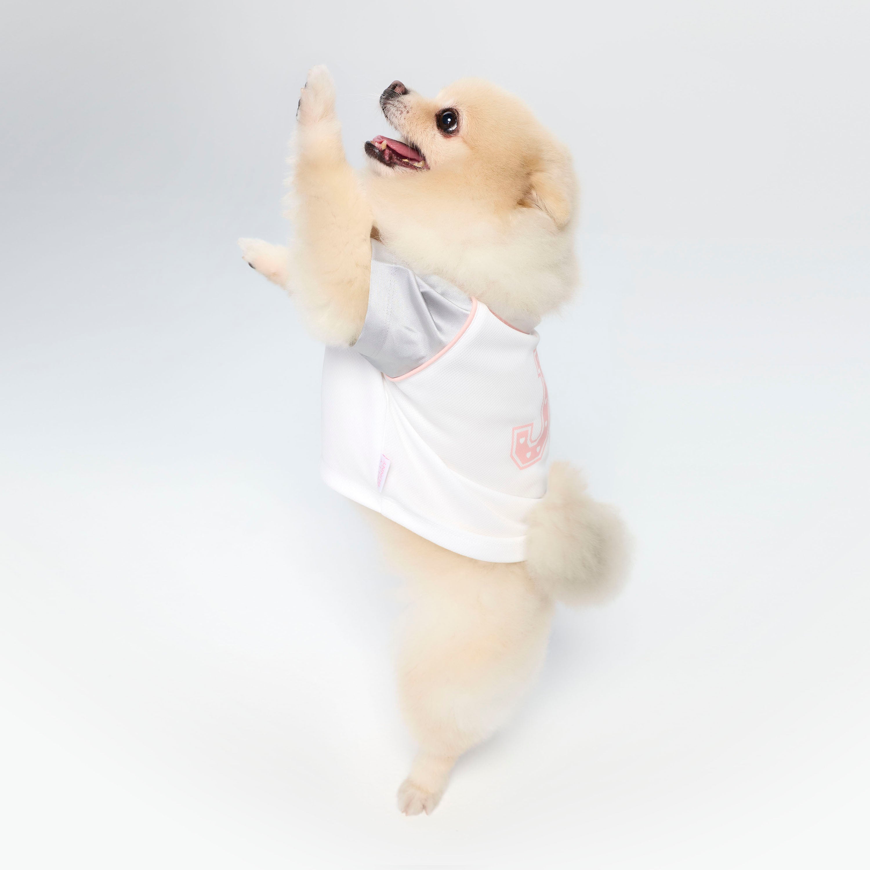 Jeremy Sport Striped Collar T-Shirt For Pets White