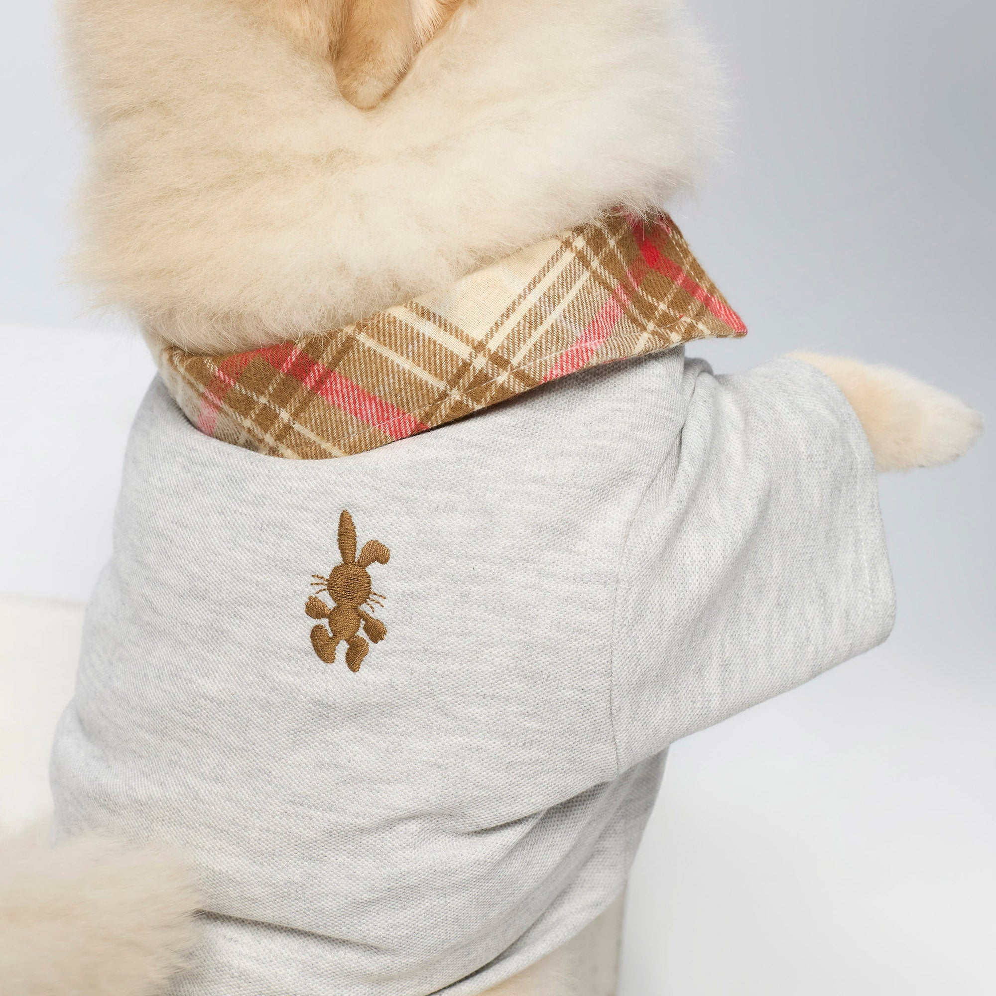 Jeremy Checked Collar T-Shirt For Pets Grey