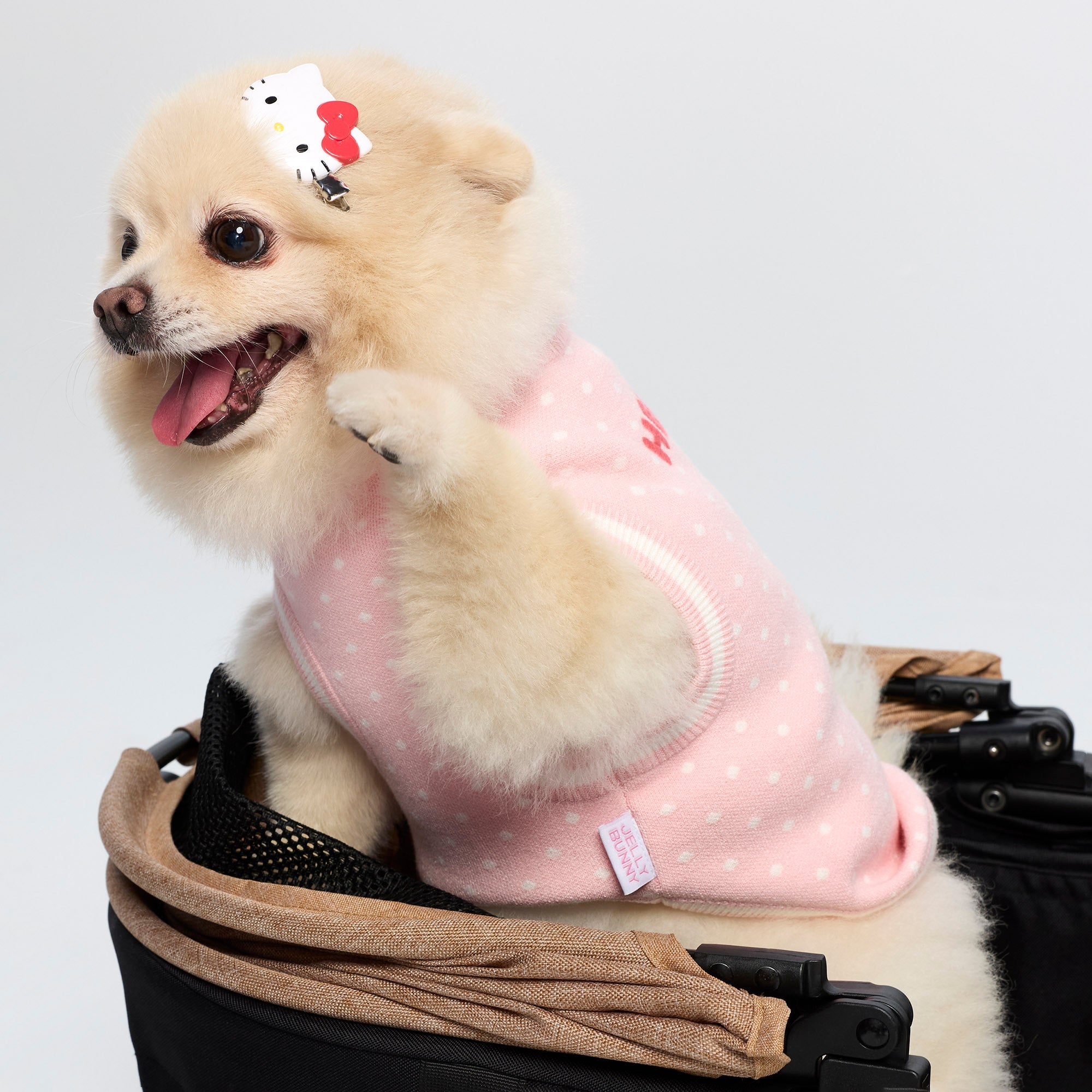เสื้อยืดผ้าถักลายจุด Hello Kitty สำหรับสัตว์เลี้ยง Pink