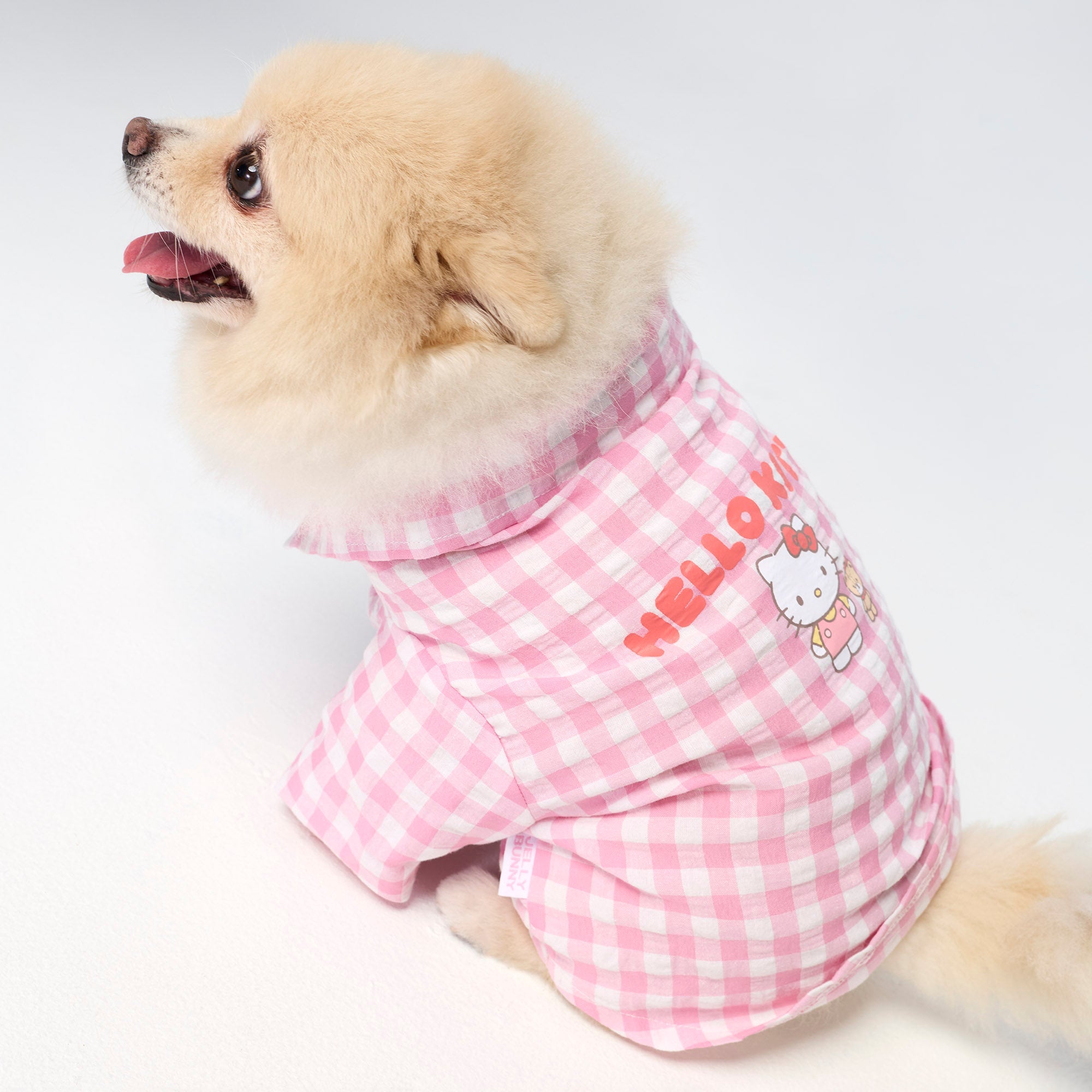 เสื้อเชิ้ตลายตาราง Hello Kitty สำหรับสัตว์เลี้ยง Check Pink