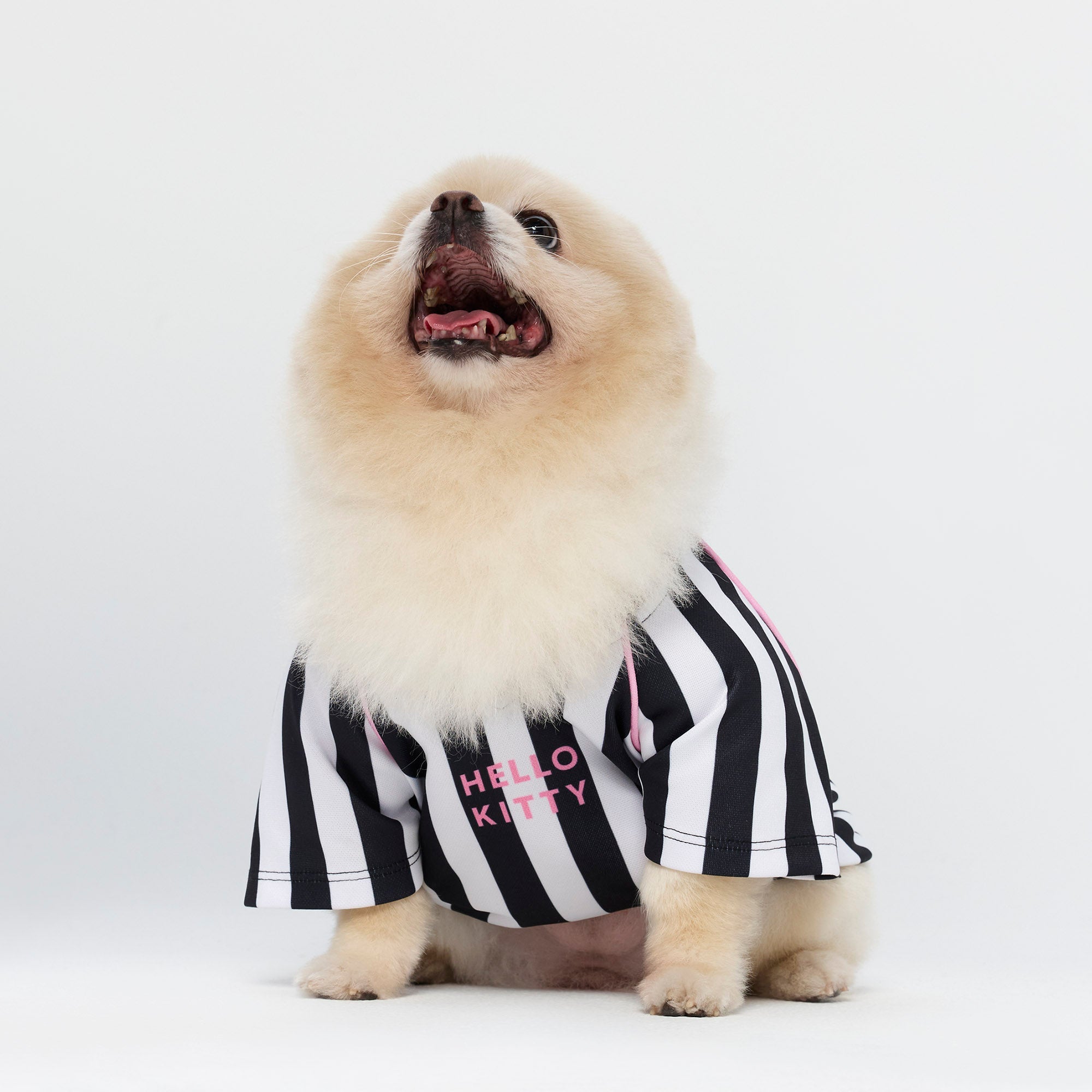 Hello Kitty Striped T-Shirt For Pets Black