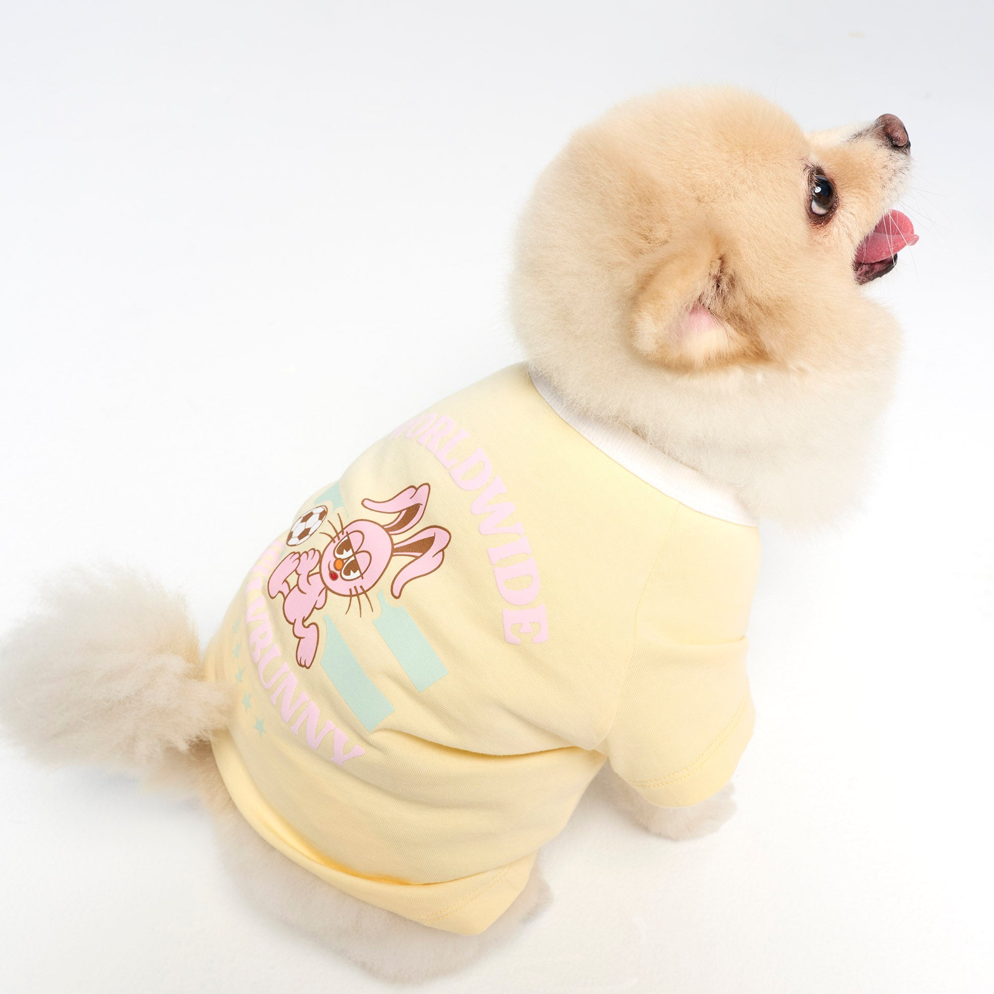 เสื้อยืดลายกราฟิกกระต่าย สำหรับสัตว์เลี้ยง Cream