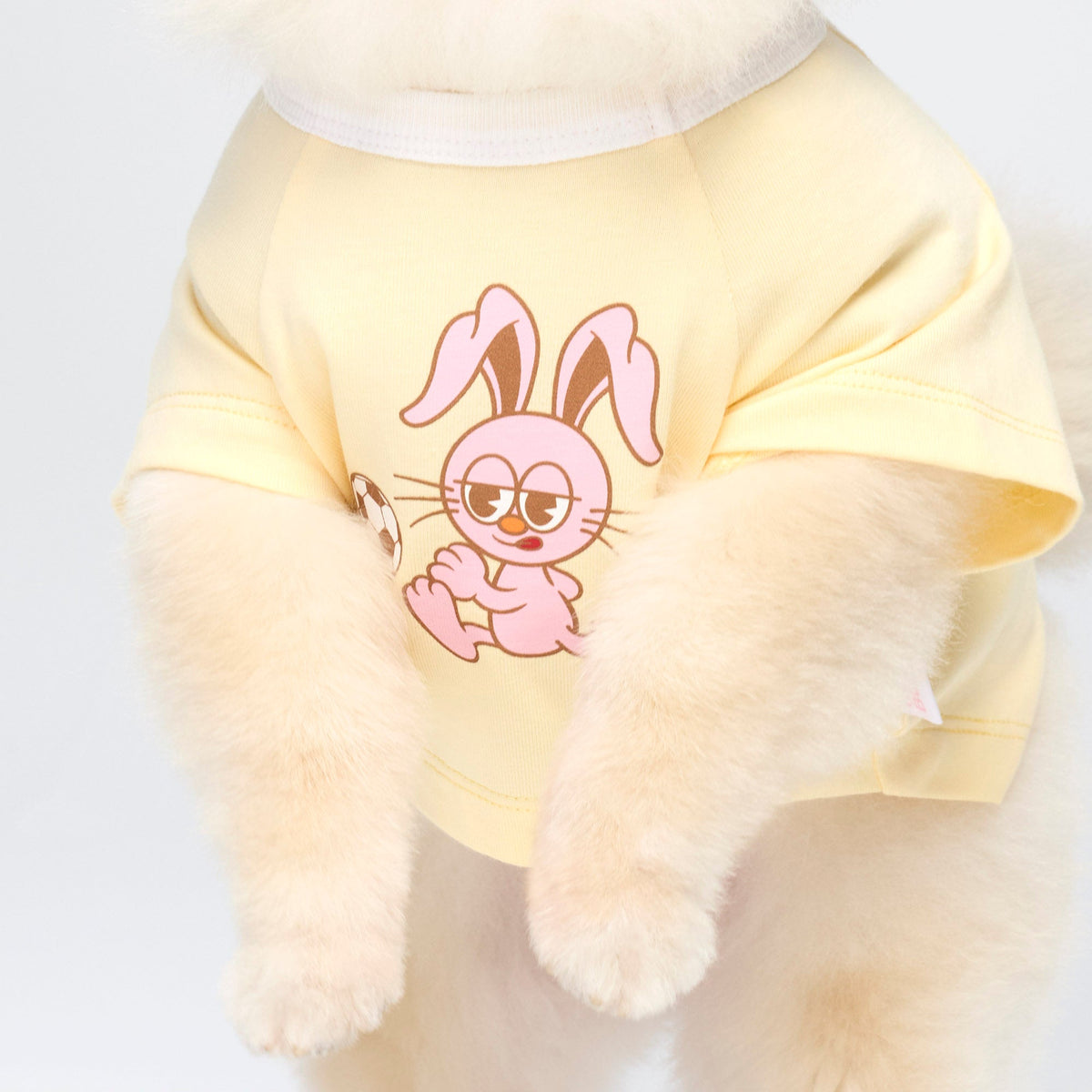 เสื้อยืดลายกราฟิกกระต่าย สำหรับสัตว์เลี้ยง Cream