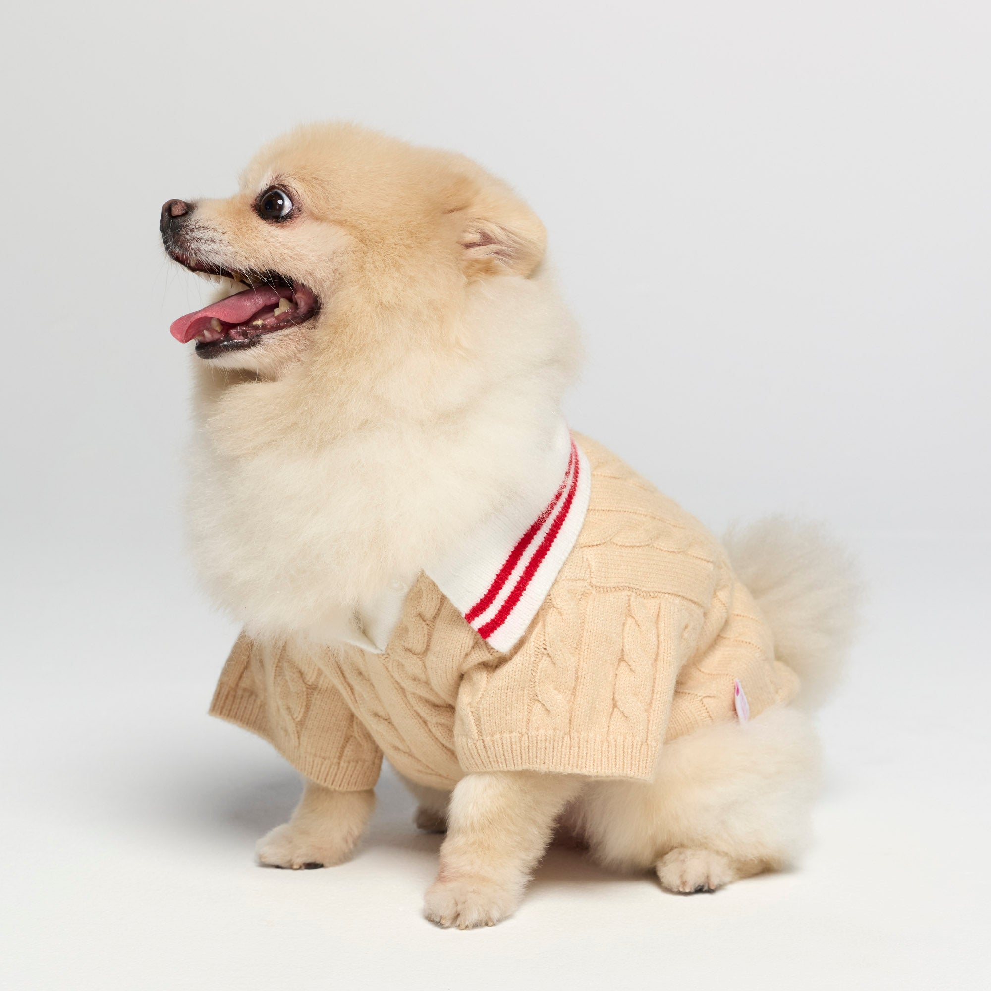 เสื้อโปโลผ้าถัก สำหรับสัตว์เลี้ยง Cream