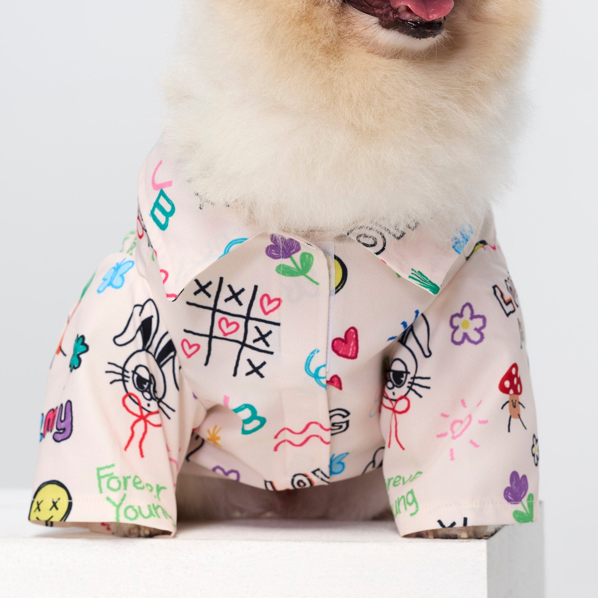 เสื้อเชิ้ตลายพิมพ์ Jeremy สำหรับสัตว์เลี้ยง Multi Color